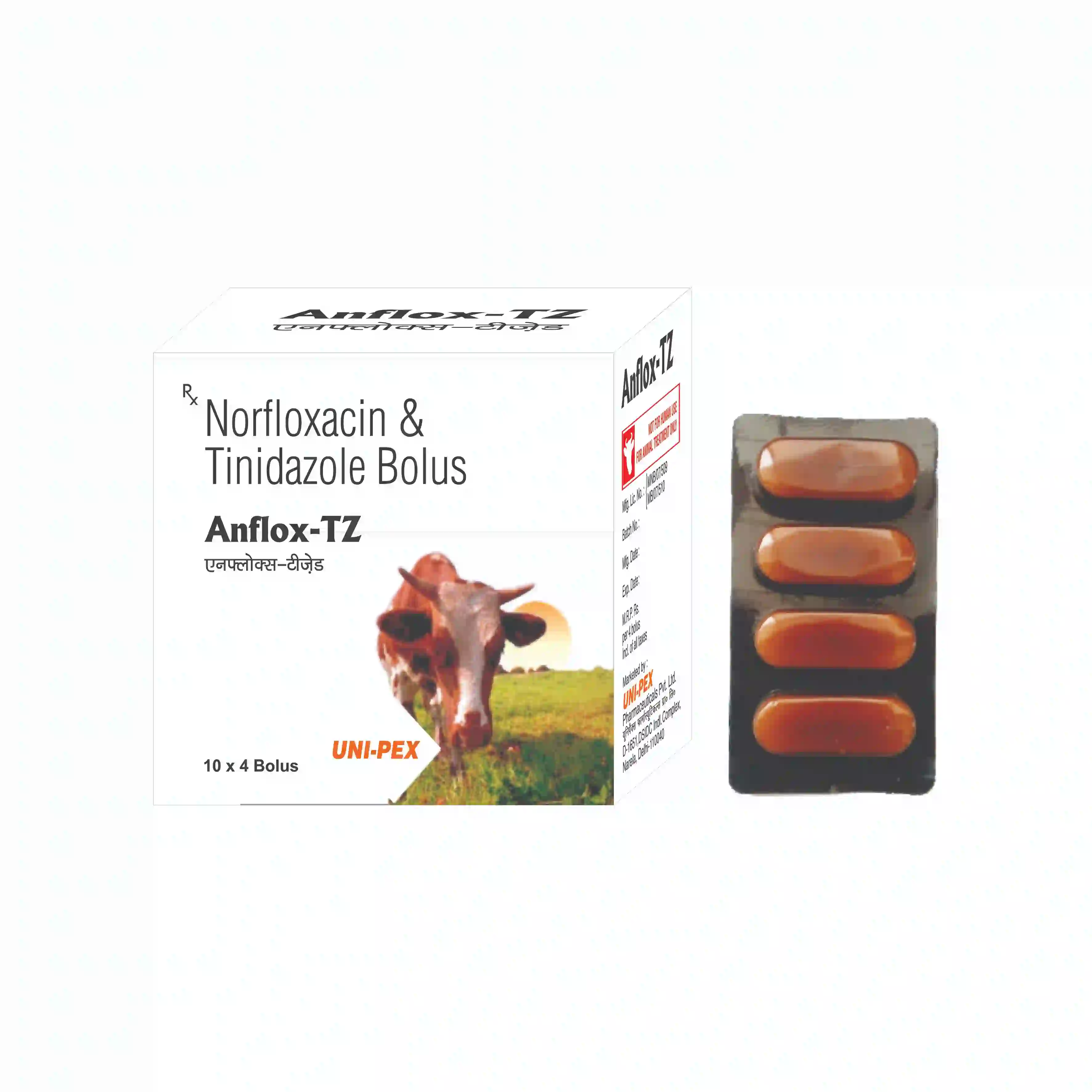 Anflox-TZ